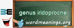 WordMeaning blackboard for genus iridoprocne